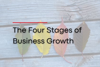 four stages of business growth