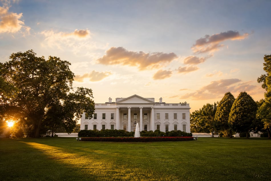 Election Tax Implications. Trump v. Harris, What Can Small Businesses Expect?