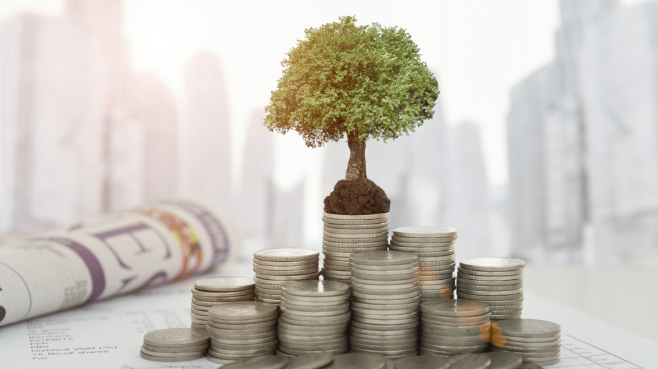 Maximizing Wealth: The Art of Tax-Efficient Investing and Ongoing Portfolio Review