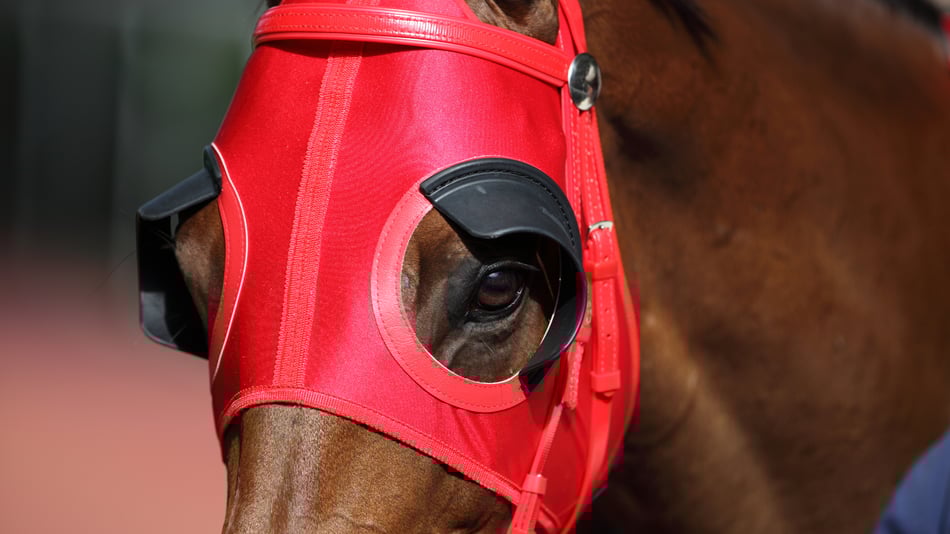 The Secretariat Paradox: Why Traditional CPA Relationships Have Business Owners Running the Wrong Race