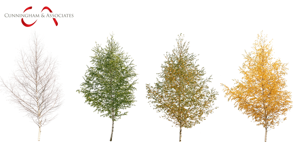 Avoiding Overpayment: Common Tax Mistakes Made by Seasonal Businesses