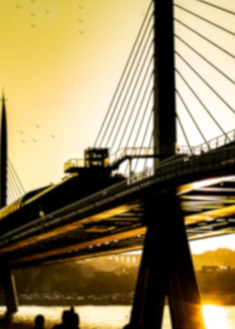 pexels-chevanon-photography-302902