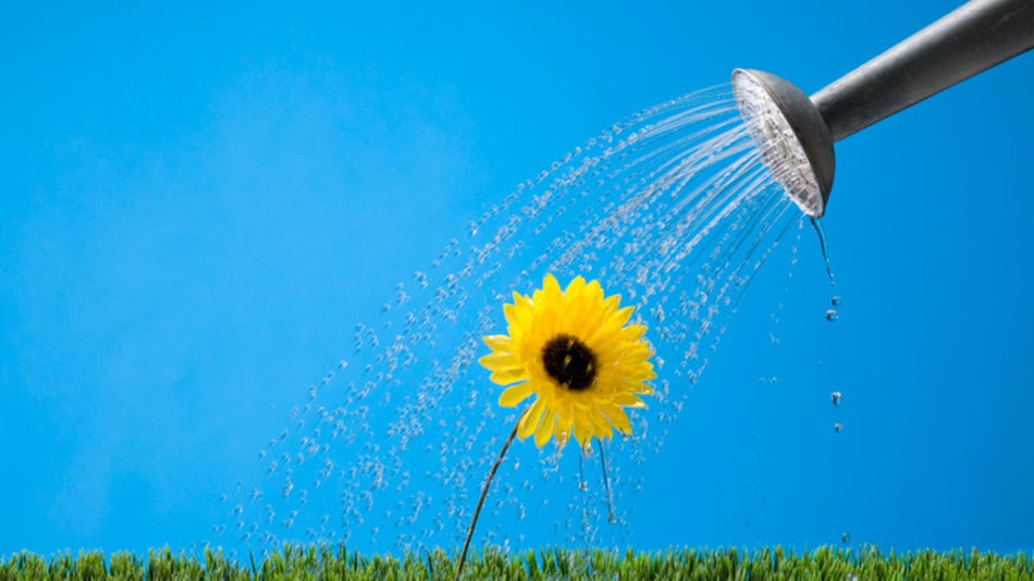 How Business Valuations Help Growing Companies