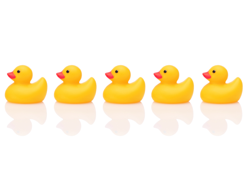 1-Apr-30-2025-05-45-39-6601-PM